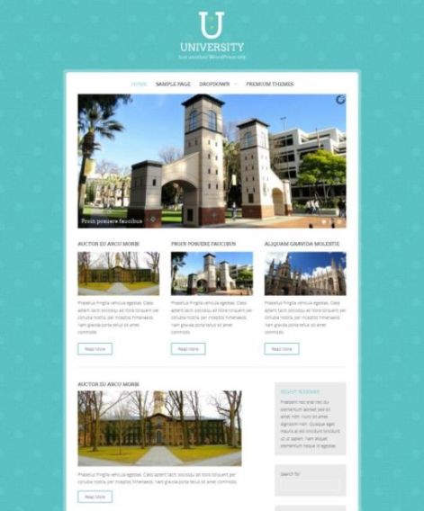 theme box layout