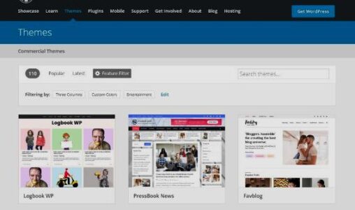 Cómo elegir un theme de WORDPRESS (2/6): aspectos generales