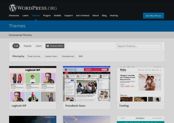 WordPress - seccion themes