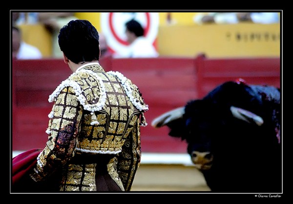 escena taurina